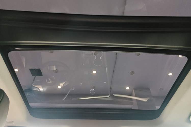 Used Lexus RX 2020 300 Two-Wheel Drive Elite Edition China VI Standard Headliner