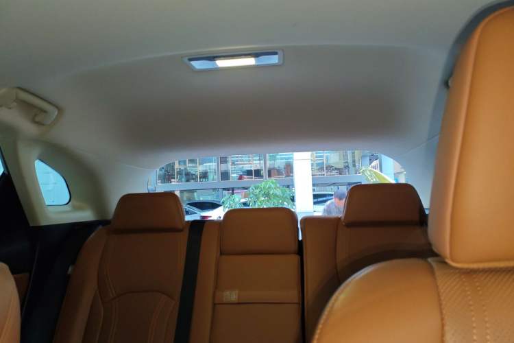 Used Lexus RX 2020 300 Two-Wheel Drive Comfort Edition China VI Standard Headliner