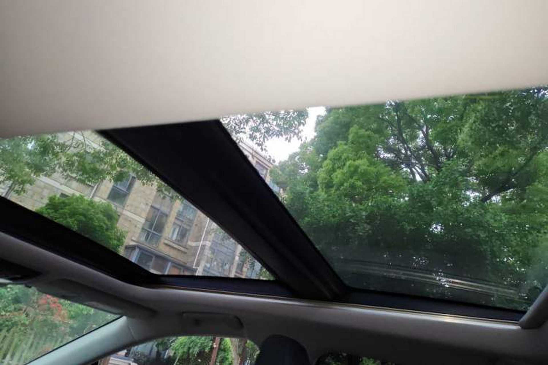 Used Lexus RX 2020 Facelifted 300 4x4 Elegant Edition Headliner