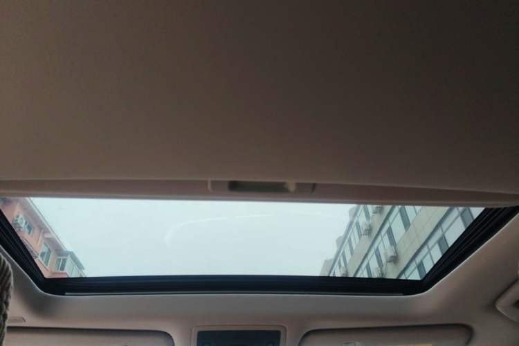 Used Lexus RX 2020 Revised Version 300 Two-Wheel Drive Elite Edition Headliner