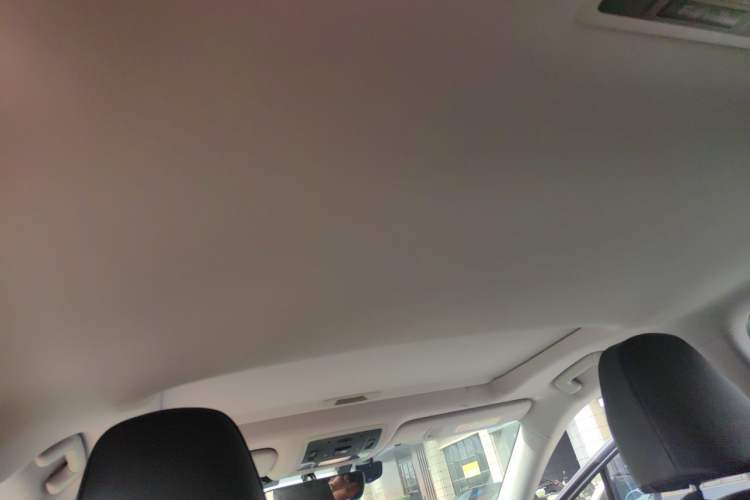 Used Lexus RX 2020 Revised Version 300 Two-Wheel Drive Comfort Edition Headliner