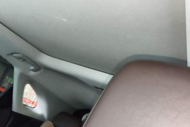 Used Lexus RX 2020 Facelifted 300 4x4 Elegant Edition Headliner