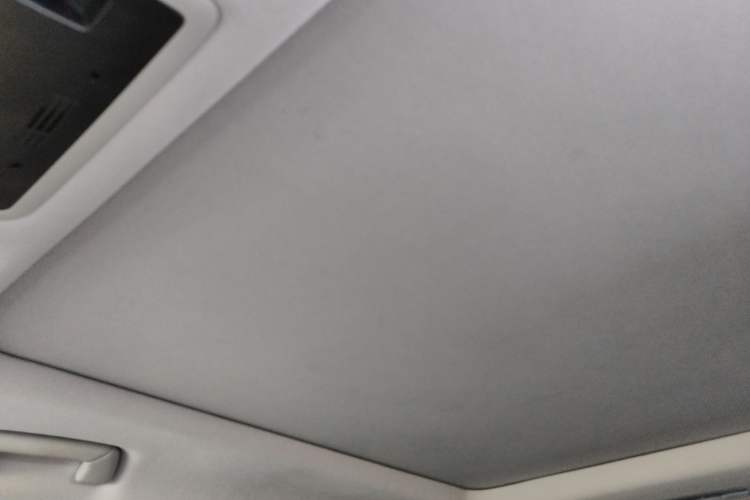 Used Lexus RX 2020 Facelifted 300 4x4 Elegant Edition Headliner