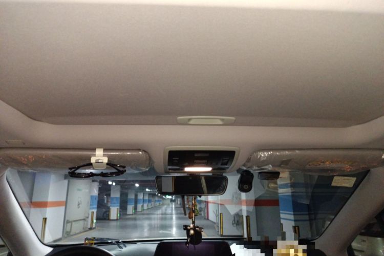 Used Lexus RX 2020 Revised Version 300 Two-Wheel Drive Comfort Edition Headliner