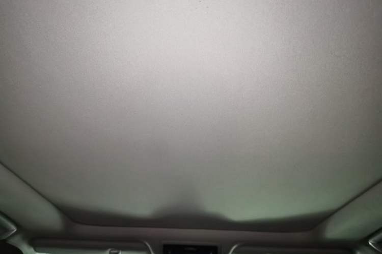 Used Lexus RX 2020 300 4x4 Elegant Edition China VI Headliner