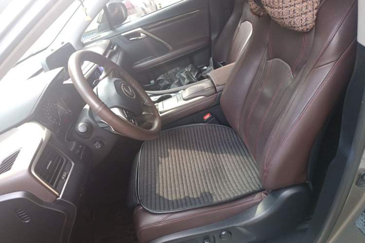 Used Lexus RX 2020 300 4x4 Elegant Edition China VI Left Front Seat