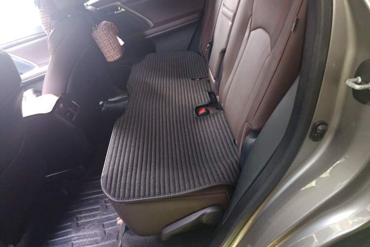 Used Lexus RX 2020 300 4x4 Elegant Edition China VI Left Rear Seat