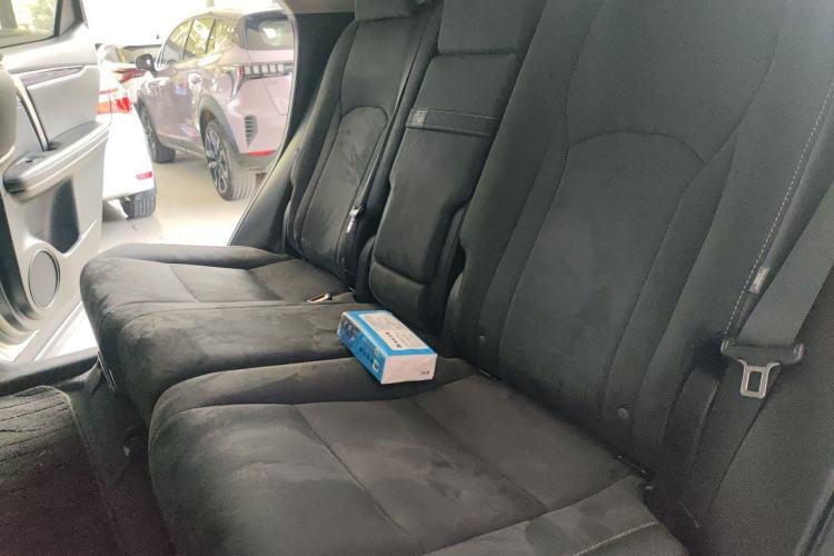 Used Lexus RX 2020 300 Two-Wheel Drive Elite Edition China VI Standard Left Rear Seat