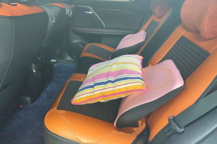 Used Lexus RX 2020 Facelifted 300 4x4 Elegant Edition Left Rear Seat