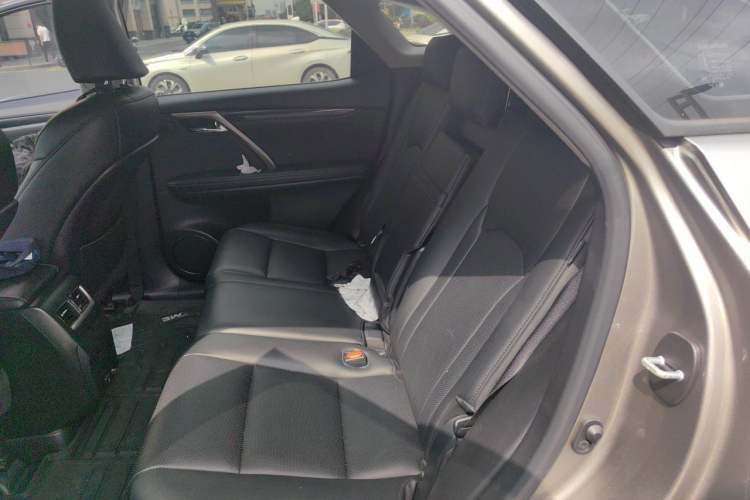 Used Lexus RX 2020 Revised Version 300 Two-Wheel Drive Comfort Edition Left Rear Seat