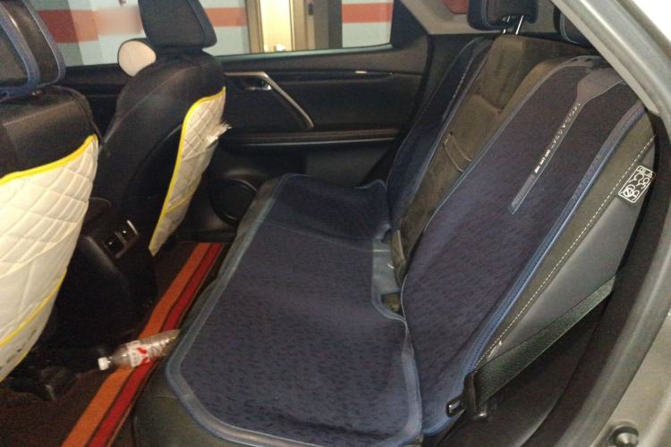 Used Lexus RX 2020 Revised Version 300 Two-Wheel Drive Comfort Edition Left Rear Seat
