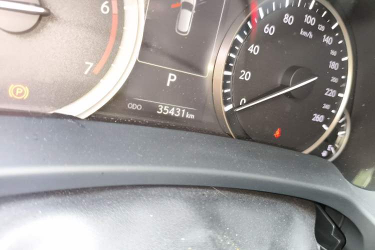 Used Lexus RX 2020 Revised Version 300 Two-Wheel Drive Elite Edition Odometer Close Up