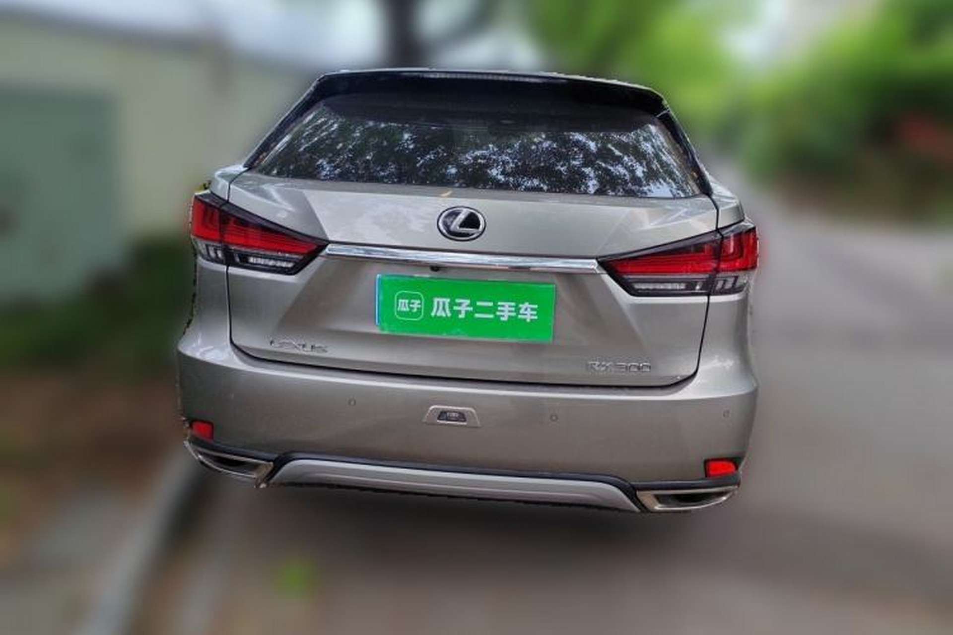 Used Lexus RX 2020 Facelifted 300 4x4 Elegant Edition Rear