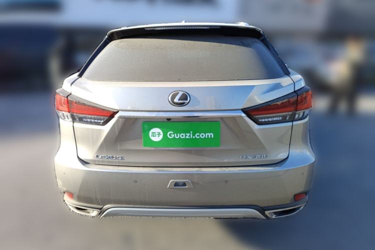 Used Lexus RX 2020 Facelifted 300 4x4 Elegant Edition Rear