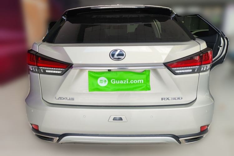 Used Lexus RX 2020 300 Two-Wheel Drive Elite Edition China VI Standard Rear