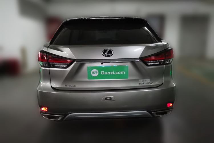 Used Lexus RX 2020 300 4x4 Elegant Edition China VI Rear