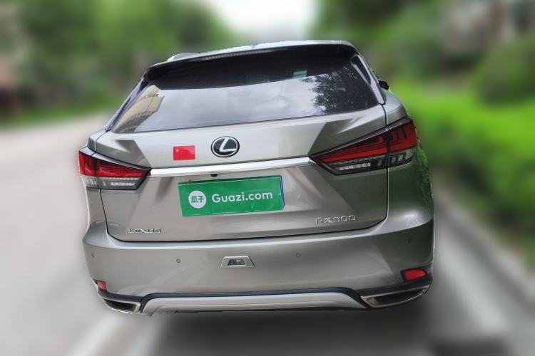 Used Lexus RX 2020 Revised Version 300 Two-Wheel Drive Elite Edition Rear