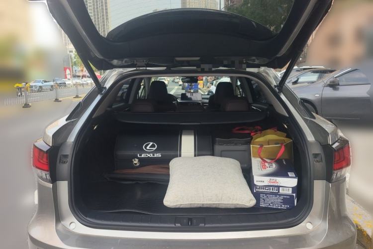 Used Lexus RX 2020 Facelifted 300 4x4 Elegant Edition Trunk