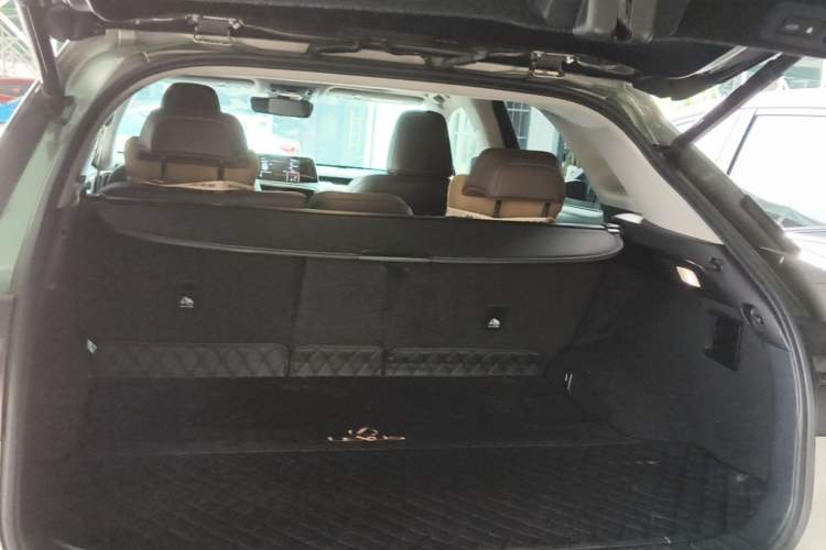 Used Lexus RX 2020 Facelifted 300 4x4 Elegant Edition Trunk