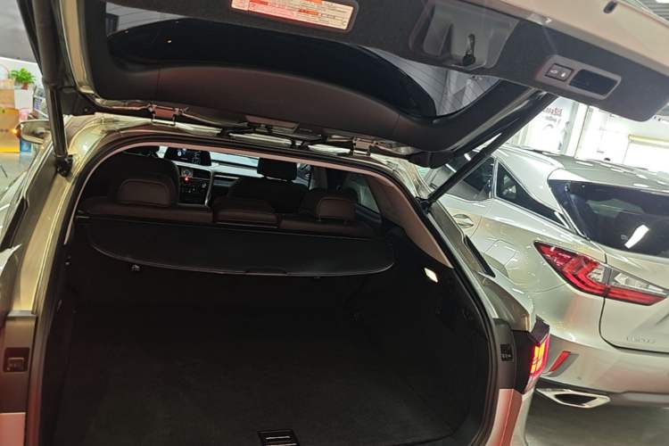Used Lexus RX 2020 Facelifted 300 4x4 Elegant Edition Trunk