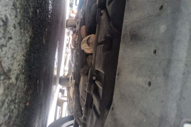 Used Lexus RX 2020 300 4x4 Elegant Edition China VI Chassis Front