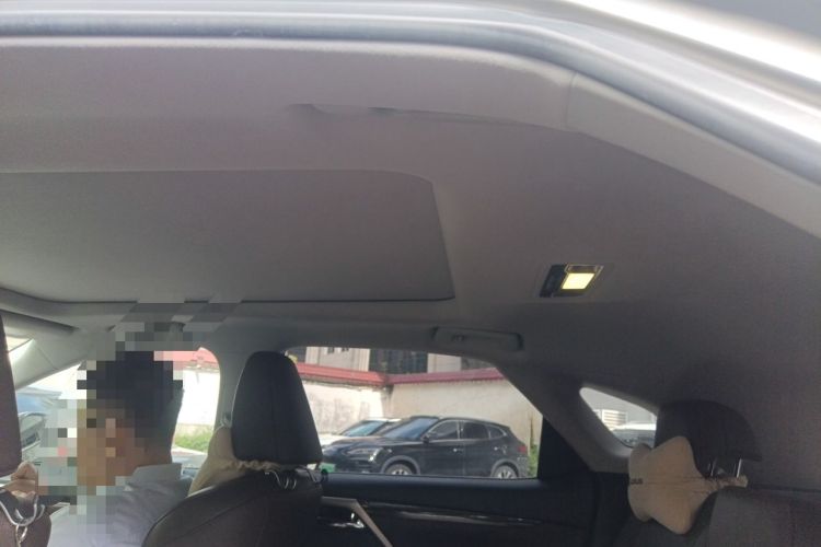 Used Lexus RX 2020 300 4x4 Elegant Edition China VI Headliner