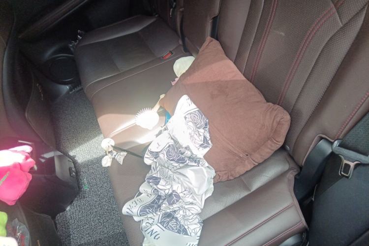 Used Lexus RX 2020 300 4x4 Elegant Edition China VI Left Rear Seat