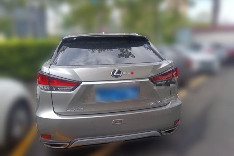 Used Lexus RX 2020 300 4x4 Elegant Edition China VI Rear
