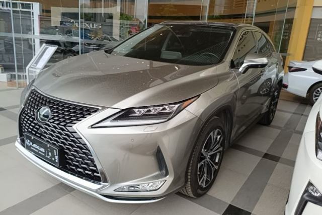 Used Lexus RX 2020 300 4x4 Elegant Edition China VI