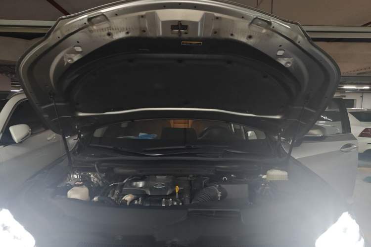 Used Lexus RX 2020 Facelifted 300 4x4 Elegant Edition Engine Bay