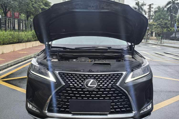 Used Lexus RX 2020 300 Two-Wheel Drive Elite Edition China VI Standard Engine Bay