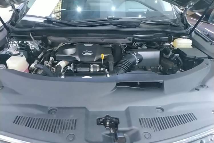 Used Lexus RX 2020 Revised Version 300 Two-Wheel Drive Comfort Edition Engine Bay