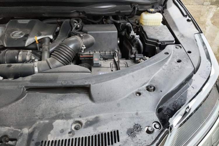 Used Lexus RX 2020 Facelifted 300 4x4 Elegant Edition Engine Bay Left