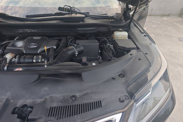 Used Lexus RX 2020 300 Two-Wheel Drive Elite Edition China VI Standard Engine Bay Left