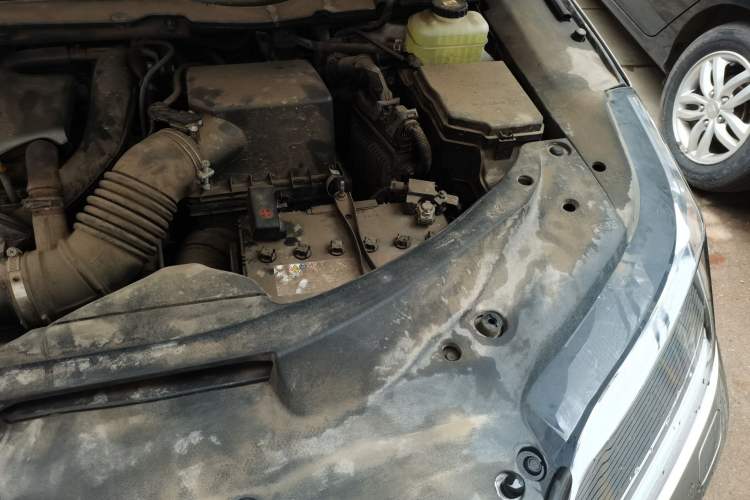 Used Lexus RX 2020 Facelifted 300 4x4 Elegant Edition Engine Bay Left