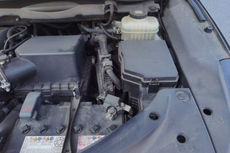 Used Lexus RX 2020 Revised Version 300 Two-Wheel Drive Elite Edition Engine Bay Left
