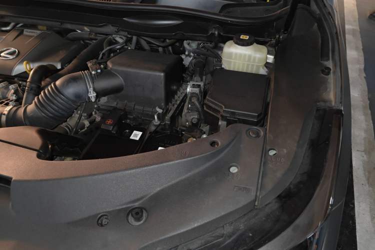Used Lexus RX 2020 Revised Version 300 Two-Wheel Drive Comfort Edition Engine Bay Left