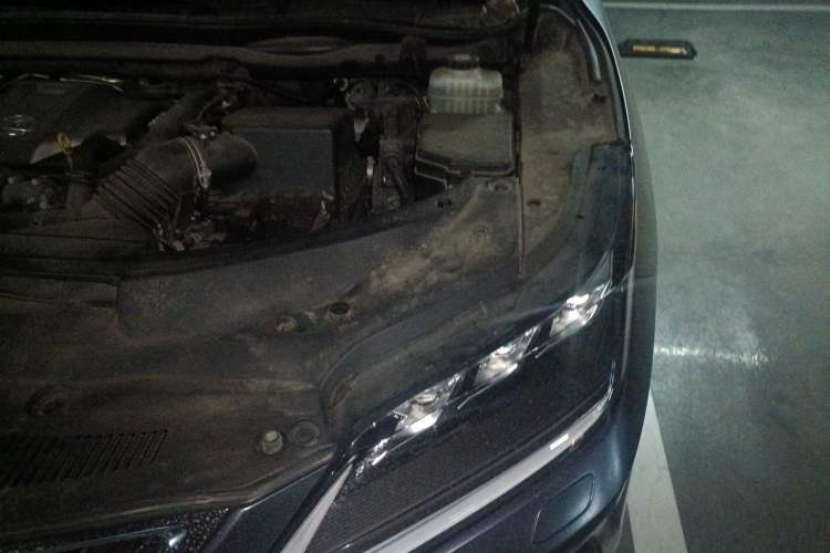 Used Lexus RX 2020 Facelifted 300 4x4 Elegant Edition Engine Bay Left