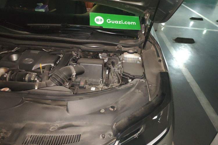 Used Lexus RX 2020 Revised Version 300 Two-Wheel Drive Elite Edition Engine Bay Left
