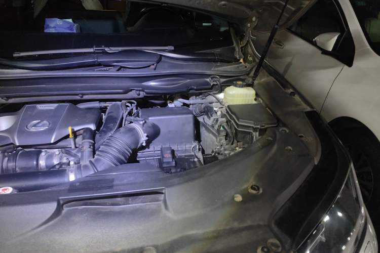 Used Lexus RX 2020 300 Two-Wheel Drive Elite Edition China VI Standard Engine Bay Left