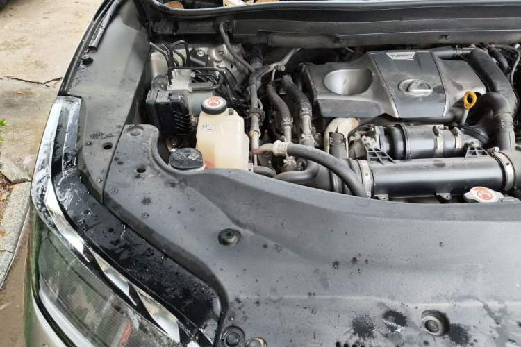 Used Lexus RX 2020 Facelifted 300 4x4 Elegant Edition Engine Bay Right