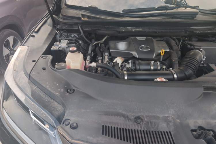 Used Lexus RX 2020 300 Two-Wheel Drive Elite Edition China VI Standard Engine Bay Right