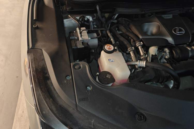 Used Lexus RX 2020 Revised Version 300 Two-Wheel Drive Comfort Edition Engine Bay Right