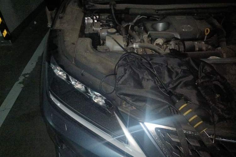 Used Lexus RX 2020 Facelifted 300 4x4 Elegant Edition Engine Bay Right