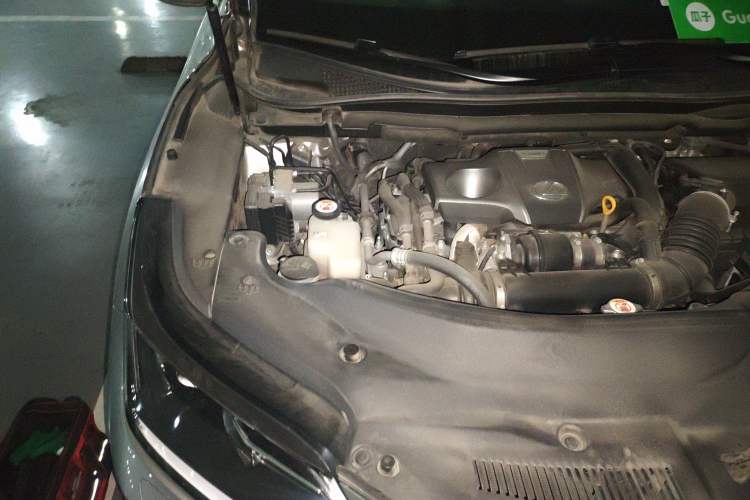 Used Lexus RX 2020 Revised Version 300 Two-Wheel Drive Elite Edition Engine Bay Right
