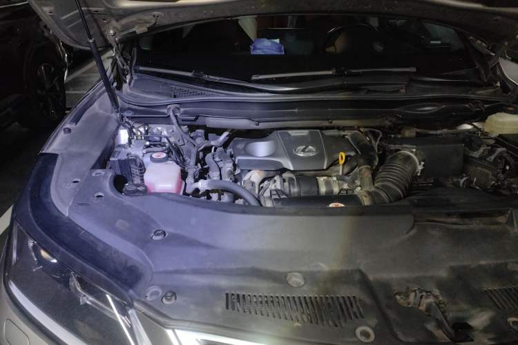 Used Lexus RX 2020 300 Two-Wheel Drive Elite Edition China VI Standard Engine Bay Right