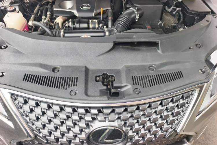 Used Lexus RX 2020 Revised Version 300 Two-Wheel Drive Elite Edition Engine Bay