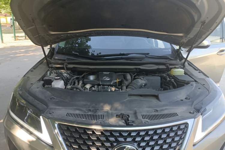 Used Lexus RX 2020 Revised Version 300 Two-Wheel Drive Comfort Edition Engine Bay