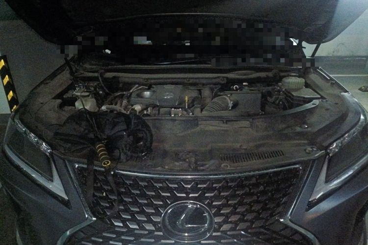 Used Lexus RX 2020 Facelifted 300 4x4 Elegant Edition Engine Bay