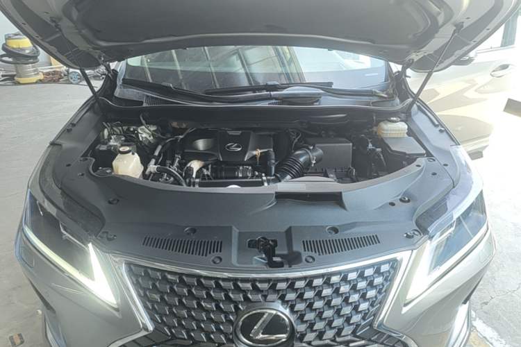 Used Lexus RX 2020 Revised Version 300 Two-Wheel Drive Elite Edition Engine Bay